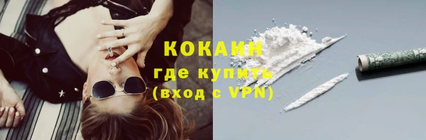 ПСИЛОЦИБИНОВЫЕ ГРИБЫ Баксан