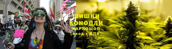 ПСИЛОЦИБИНОВЫЕ ГРИБЫ Баксан