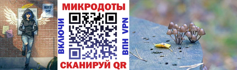 Галлюциногенные грибы мицелий  Черногорск 
