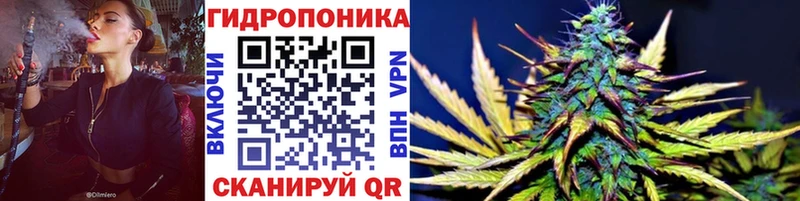 Бошки Шишки THC 21%  цена   Черногорск 